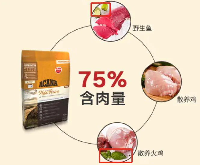 猫粮含肉量海报修改前：柠檬与薄荷等干扰元素